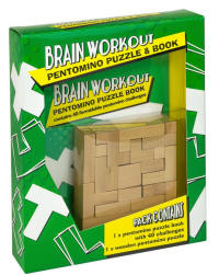 pentomino puzzle and brain workout book