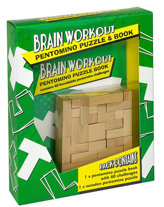 Pentomino Puzzle puzzle