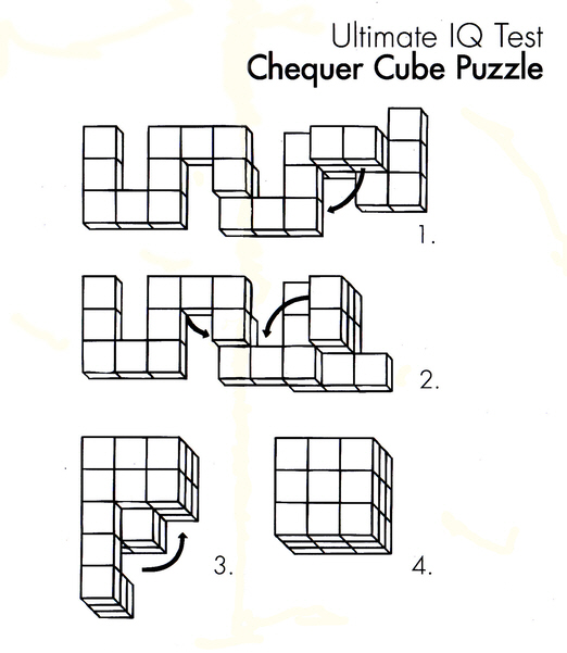 chequer cube puzzle solution