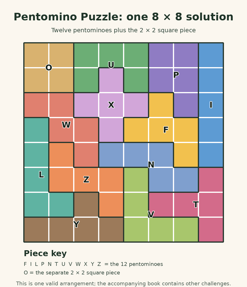 Pentomino Puzzle puzzle solution and assembly diagram